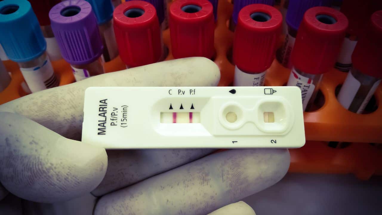 malaria test