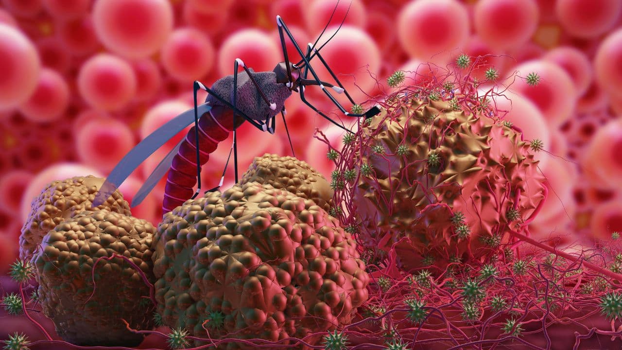 malaria