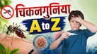Chikungunya Explainer: मानसून में चिकनगुनिया के मामले क्यों बढ़ते हैं? जानें लक्षण, कारण और इलाज