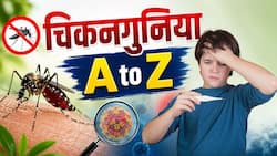 Chikungunya Explainer: मानसून में चिकनगुनिया के मामले क्यों बढ़ते हैं? जानें लक्षण, कारण और इलाज