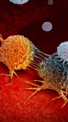 5 cancer-causing household items you probably use every day