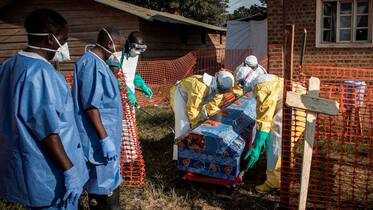 What is Ebola virus: What happens to the body after the virus enters?