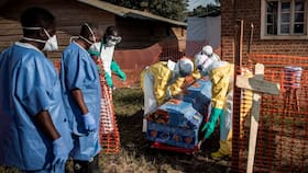 What is Ebola virus: What happens to the body after the virus enters?