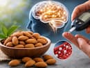 Eating almonds daily may boost memory and help control blood sugar in prediabetes, study finds