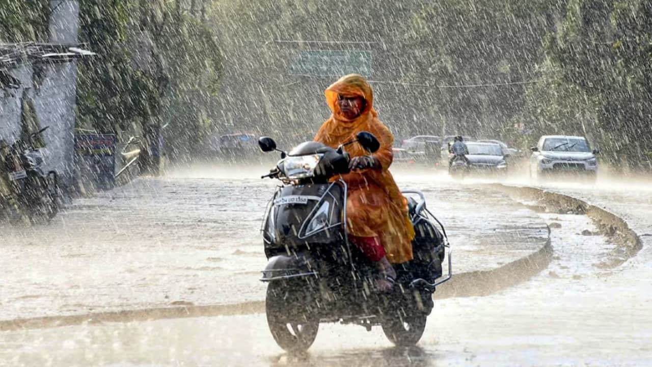 बारिश में इंफेक्शन वाले बैक्टीरिया तेजी से फैलते हैं।