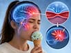 Why do we get brain freeze? Expert explains what happens inside your head after a cold bite