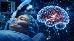 What happens to your brain under anesthesia? New study challenges our understanding of consciousness