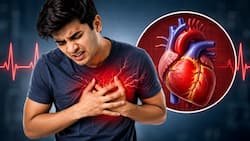 30 और 40 की उम्र के लोगों को हार्ट अटैक आ रहे हैं; कार्डियोलॉजिस्ट ने बताई इसकी 5 वजह