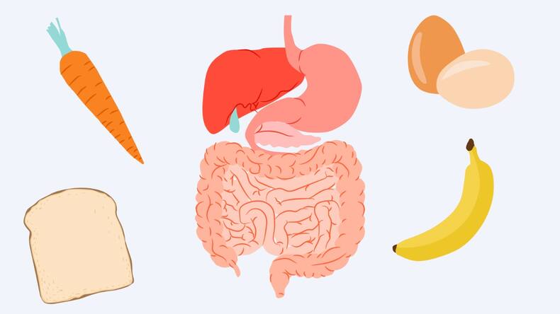 5 tips to choose the best protein powder