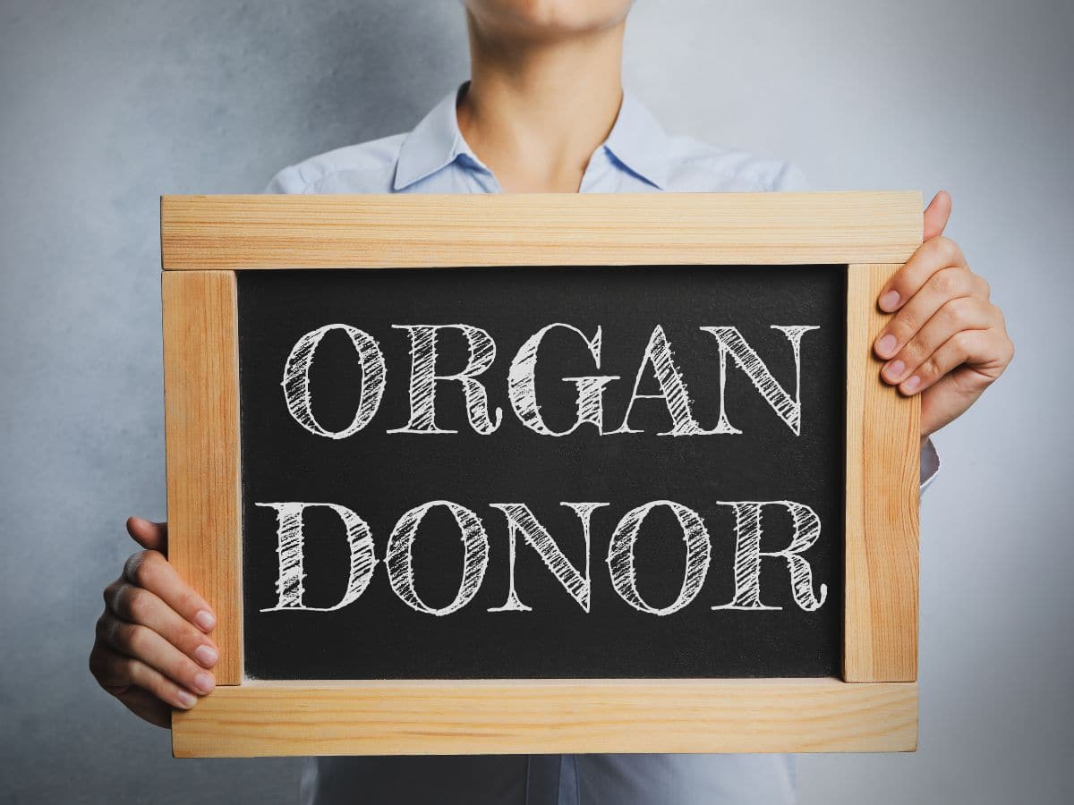 Organ Donor
