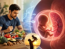 Father’s diet before conception may significantly affect fetal growth and placenta development, expert explains