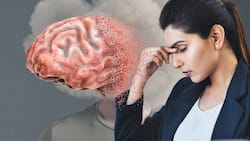 'Why am I forgetting things at such an early age?' Neurologist explains how heat exposure triggers stress and causes silent brain fog