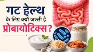 क्या गट के लिए फायदेमंद है प्रोबायोटिक्स? जानें शरीर में कैसे करता है काम