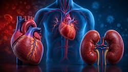 When Heart Failure Begins Damaging the Kidneys: Understanding Cardiorenal Syndrome