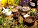 5 powerful herbs to keep your hormones balanced