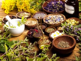 5 powerful herbs to keep your hormones balanced 5 powerful herbs to keep your hormones balanced