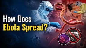 Can Ebola spread through the air like COVID-19? Expert explains