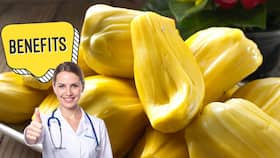 Can eating jackfruit in summer raise body heat? Expert reveals why this fruit can be good for your health when consumed the right way