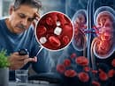 Why low blood sugar is common in people with chronic kidney disease? Expert explains the hidden risks
