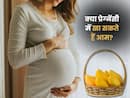 क्या प्रेग्नेंसी में आम खाने से बढ़ जाती है शुगर? जानें कितनी मात्रा में खाना है सही