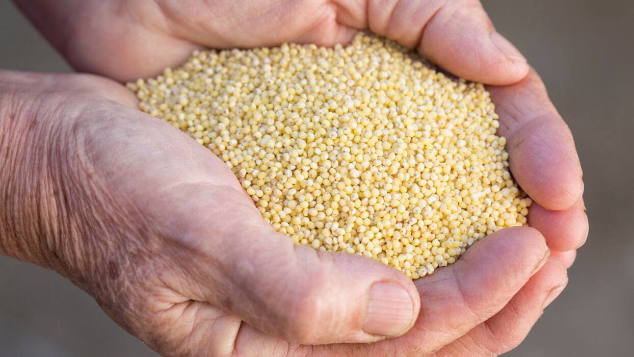 5 healthy rice replacements for dinner that keep you full and support weight loss