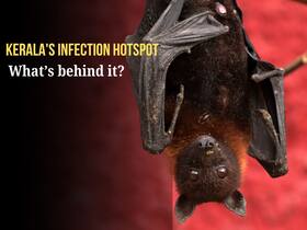 Kerala Nipah outbreak: Why India must strengthen disease surveillance, genomic monitoring and outbreak preparedness