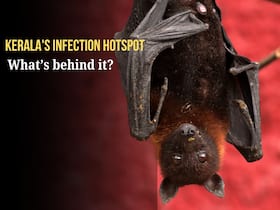 Kerala Nipah outbreak: Why India must strengthen disease surveillance, genomic monitoring and outbreak preparedness