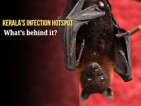 Kerala Nipah outbreak: Why India must strengthen disease surveillance, genomic monitoring and outbreak preparedness