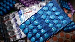 Paracetamol 650 or Dolo 650: Which medicine works best for lowering dengue fever?
