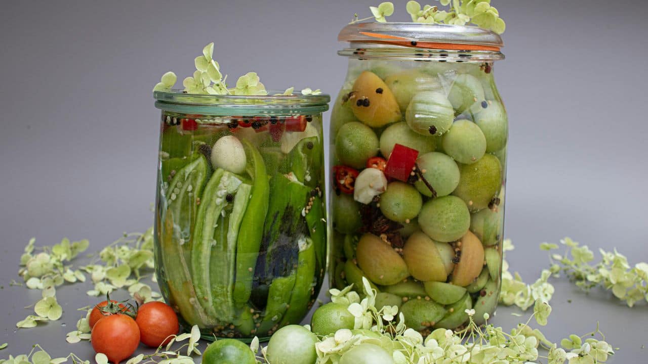Probiotics Foods