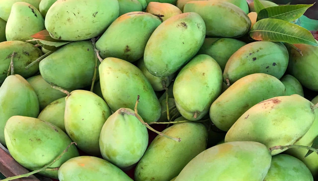 Raw Mango For Sugar