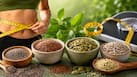 Seeds for weight loss: 5 super seeds that burn fat naturally and control hunger