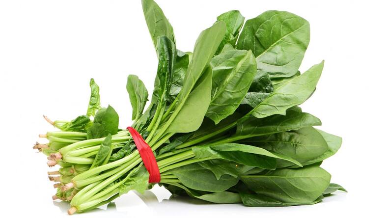 5 foods that reduce seasonal hair loss backed by science