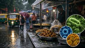 Is street food safe during monsoon? Expert warns about food poisoning, typhoid and hepatitis risks