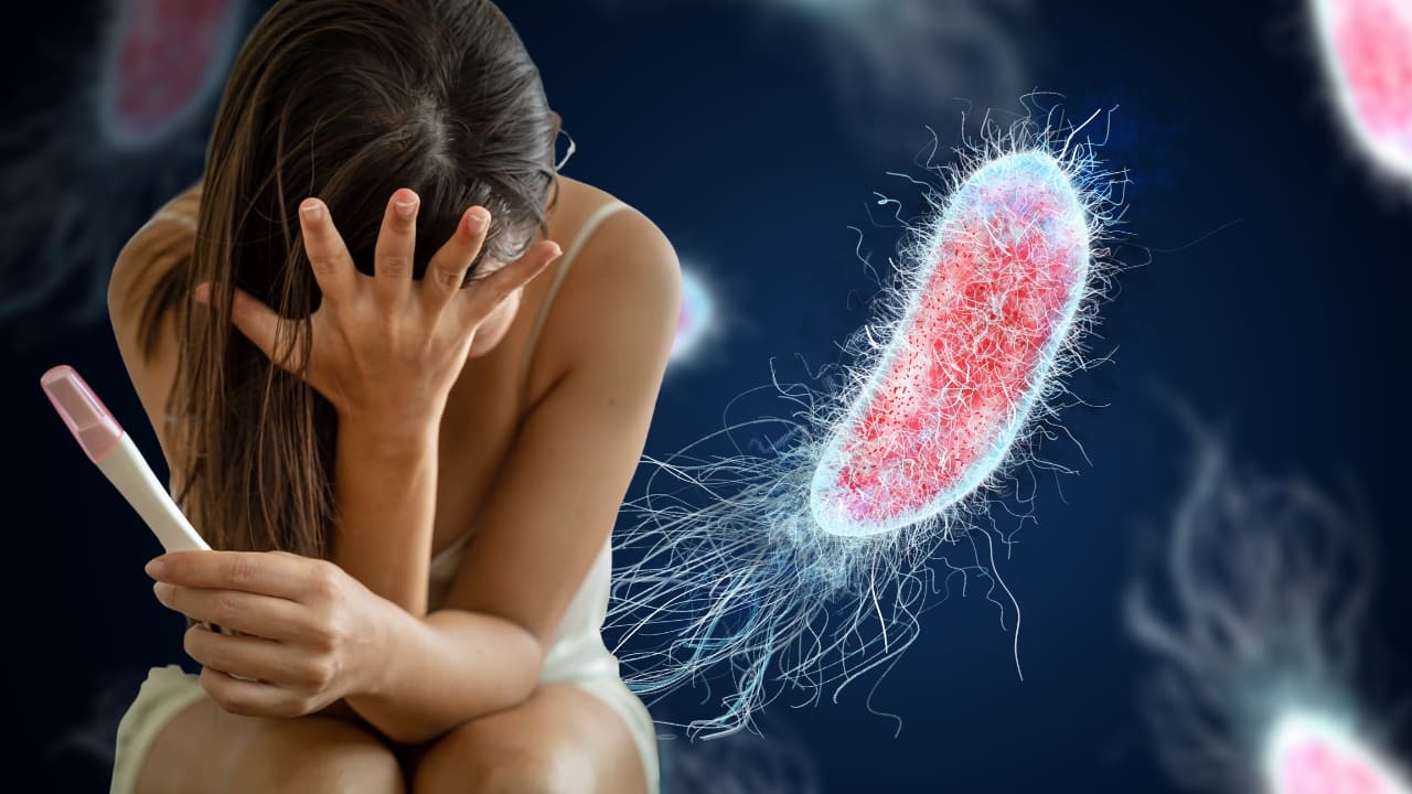 Infertility in women: From genital TB to chlamydia - 4 Severe infections that can reduce your chances of conceiving