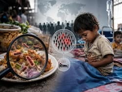 Unsafe food causes 866 million illnesses and 1.5 million deaths every year, young children most at risk: WHO