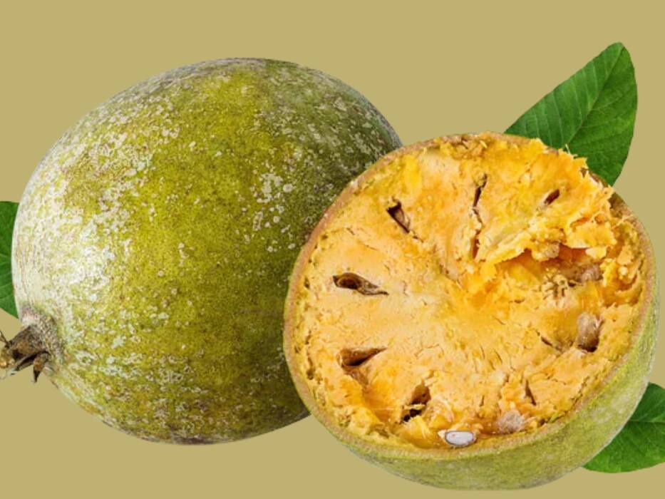 बेल का जूस कैसे बनाएं? जानें तरीका और पूरी करें फाइबर की कमी