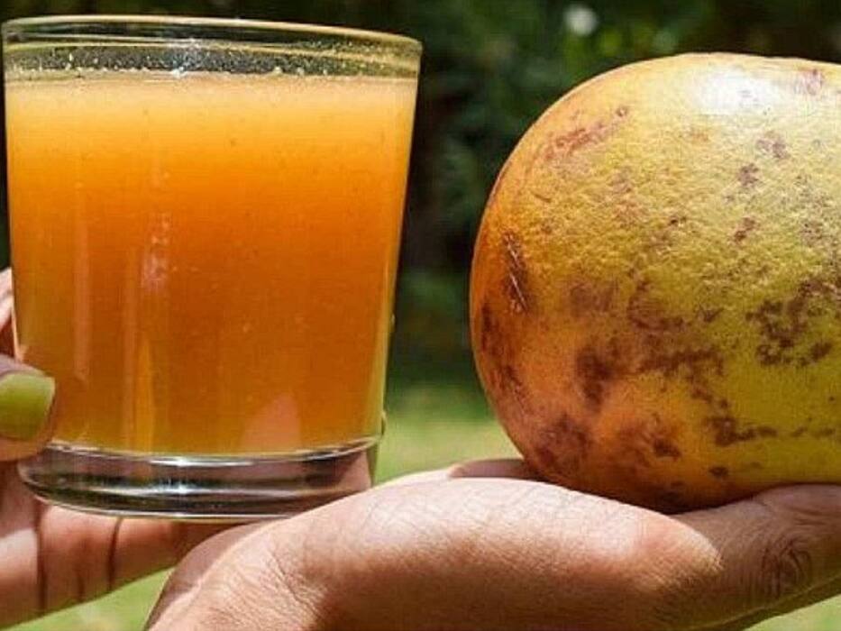 बेल का जूस कैसे बनाएं? जानें तरीका और पूरी करें फाइबर की कमी