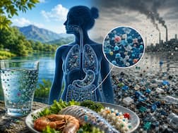 World Environment Day 2026: Microplastics in food and water could be impacting your health