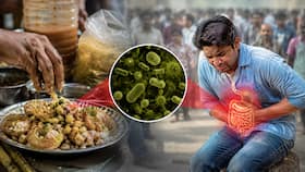 हर साल दूषित खाने से बीमार हो रहे 86 करोड़ लोग, आखिर कहां गलती कर रहे हैं हम?
