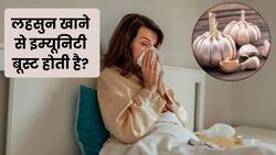 क्या वाकई लहसुन खाने से इम्यूनिटी बूस्ट होती है? जानें रिसर्च और एक्सपर्ट की राय