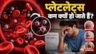 क्या सिर्फ डेंगू में ही कम होते हैं प्लेटलेट्स? जानें Low Platelets के लक्षण, कारण और इलाज