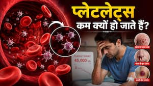 क्या सिर्फ डेंगू में ही कम होते हैं प्लेटलेट्स? जानें Low Platelets के लक्षण, कारण और इलाज