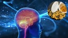 रोज Omega-3 लेने वालों के लिए बड़ा झटका! Brain Health को नहीं मिलता फायदा, नई स्टडी में खुलासा