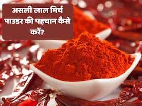 कहीं आपके लाल मिर्च पाउडर में ईंट के टुकड़े तो नहीं? FSSAI ने बताया पहचान करने का तरीका