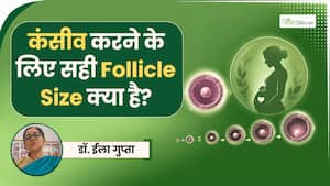 प्रेग्नेंसी ठहरने के लिए अंडा कितना बड़ा होना चाहिए? बता रही हैं डॉक्टर