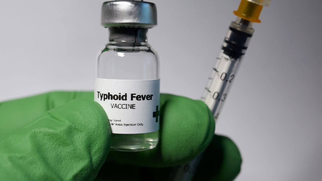 typhoid vaccine
