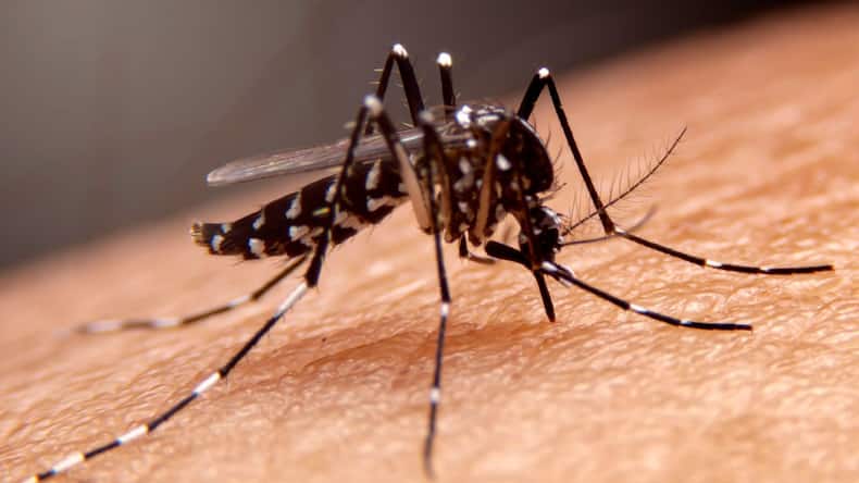 मानसून में बार-बार बीमार क्यों पड़ जाते हैं बच्चे? इस तरह से करें बचाव