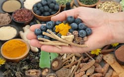 Can Ayurveda help you live longer? Doctors explain 5 daily habits for better health