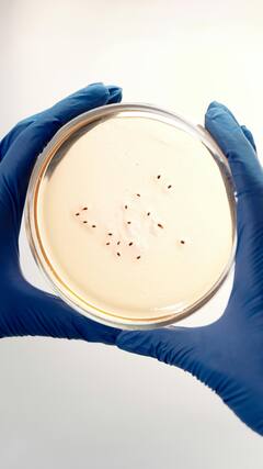 6 common things you touch every day that are crawling with germs